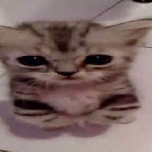 Meet your Posher, Jada